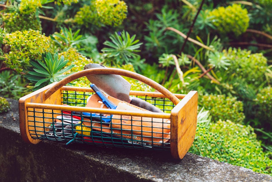 A wooden and metal garden basket resting on a stone wall, filled with gardening tools including a pointed trowel, pair of pruning shears, and gardening gloves, set against a lush garden backdrop of various green plants, flowering shrubs, and textured foliage. The garden appears well-maintained with neatly trimmed borders and vibrant, healthy leaves, hinting at recent garden maintenance or landscaping work by Gardeners Colliers Wood. The lighting is natural, likely from sunlight, highlighting the textures of the soil, tools, and plants while conveying a peaceful outdoor environment suitable for lawn care, hedge trimming, and general garden care activities.