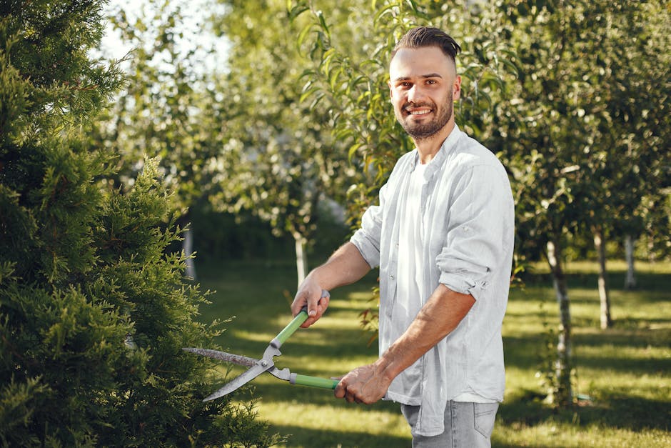 A man with a trimmed beard and short hair, dressed in a white button-up shirt with rolled-up sleeves, is using hedge clippers to trim a dense, green hedge in a well-maintained garden. The garden features a lush, green lawn with neatly cut grass, various trees with light-colored bark, and a layout that includes garden beds and borders. The sunlight filters through the leaves, casting dappled light on the scene, highlighting the textures of wet soil, trimmed foliage, and the tools used for landscape maintenance. The background shows a mixture of small and medium-sized trees with vibrant foliage, contributing to a peaceful outdoor environment. This scene illustrates routine garden maintenance work, such as hedge trimming and lawn care, emphasizing the importance of proper landscaping for a tidy outdoor space. The presence of the gardener with the tools under natural lighting suggests professional landscaping services provided by Gardeners Colliers Wood, reflecting a focus on outdoor care and garden upkeep.