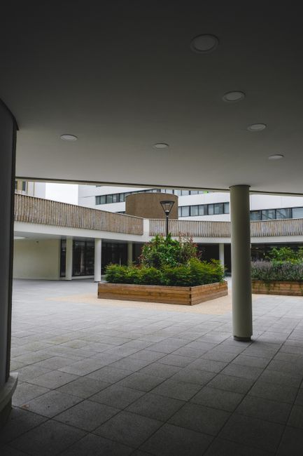 An outdoor courtyard featuring neatly maintained garden beds with lush green shrubs and small trees, bordered by wooden planters. The paved ground has a smooth texture, with some areas shaded by an overhanging structure supported by round columns. A street lamp is situated within one of the garden beds, providing additional lighting. In the background, modern white and glass buildings surround the courtyard, creating a contemporary urban environment. There are no visible tools or active gardening work; the scene highlights the clean, landscaped area managed by Gardeners Colliers Wood as part of their garden maintenance and landscaping work for the Merton Abbey Mills courtyard, with natural light illuminating the space.
